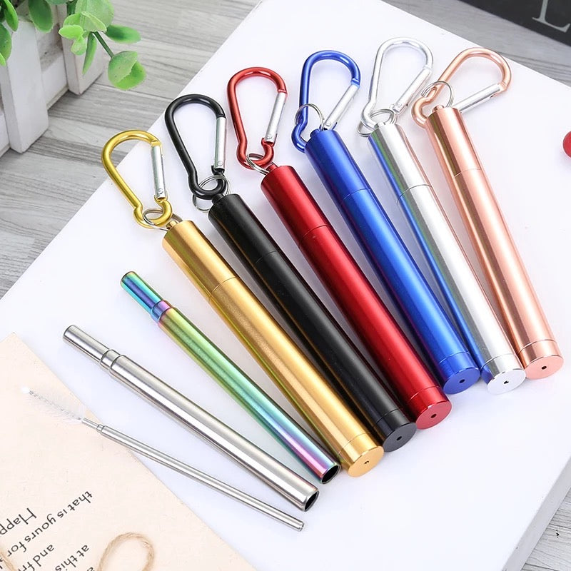 COLLAPSIBLE STAINLESS STEEL STRAW