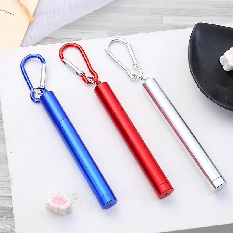 COLLAPSIBLE STAINLESS STEEL STRAW